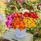 A bouquet of flowers from the zinnia lilliput series bundle in a garden setting