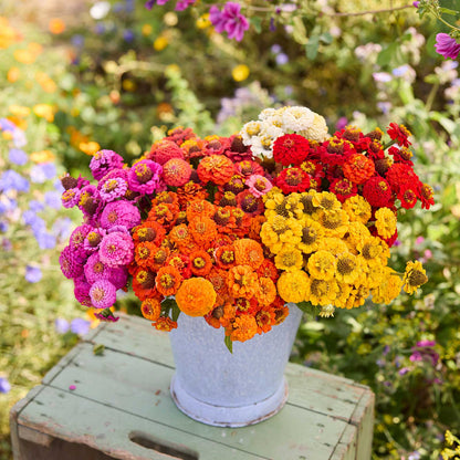 A bouquet of flowers from the zinnia lilliput series bundle in a garden setting
