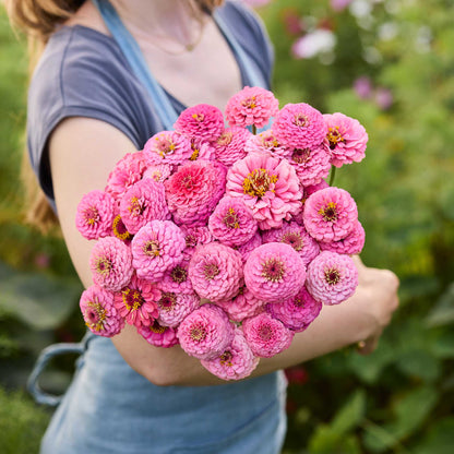 Person holding a bouquet of pink flowers from the zinnia oklahoma bundle in a natural setting