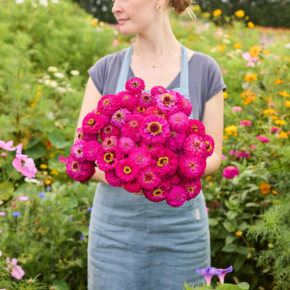 Person holding a bouquet of deep pink flowers from the zinnia oklahoma bundle in a natural setting