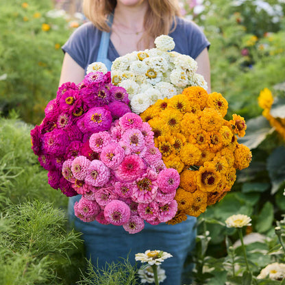 Person holding a bouquet of colorful flowers from the zinnia oklahoma series bundle in a natural setting