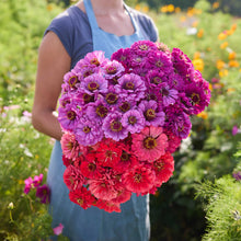 Person holding a bouquet of flowers from the zinnia packs a punch bundle in a garden setting