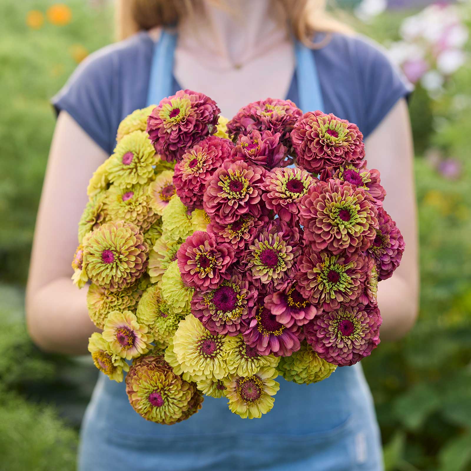 A person holding a bouquet of the zinnia bundle queeny sunset in a garden setting
