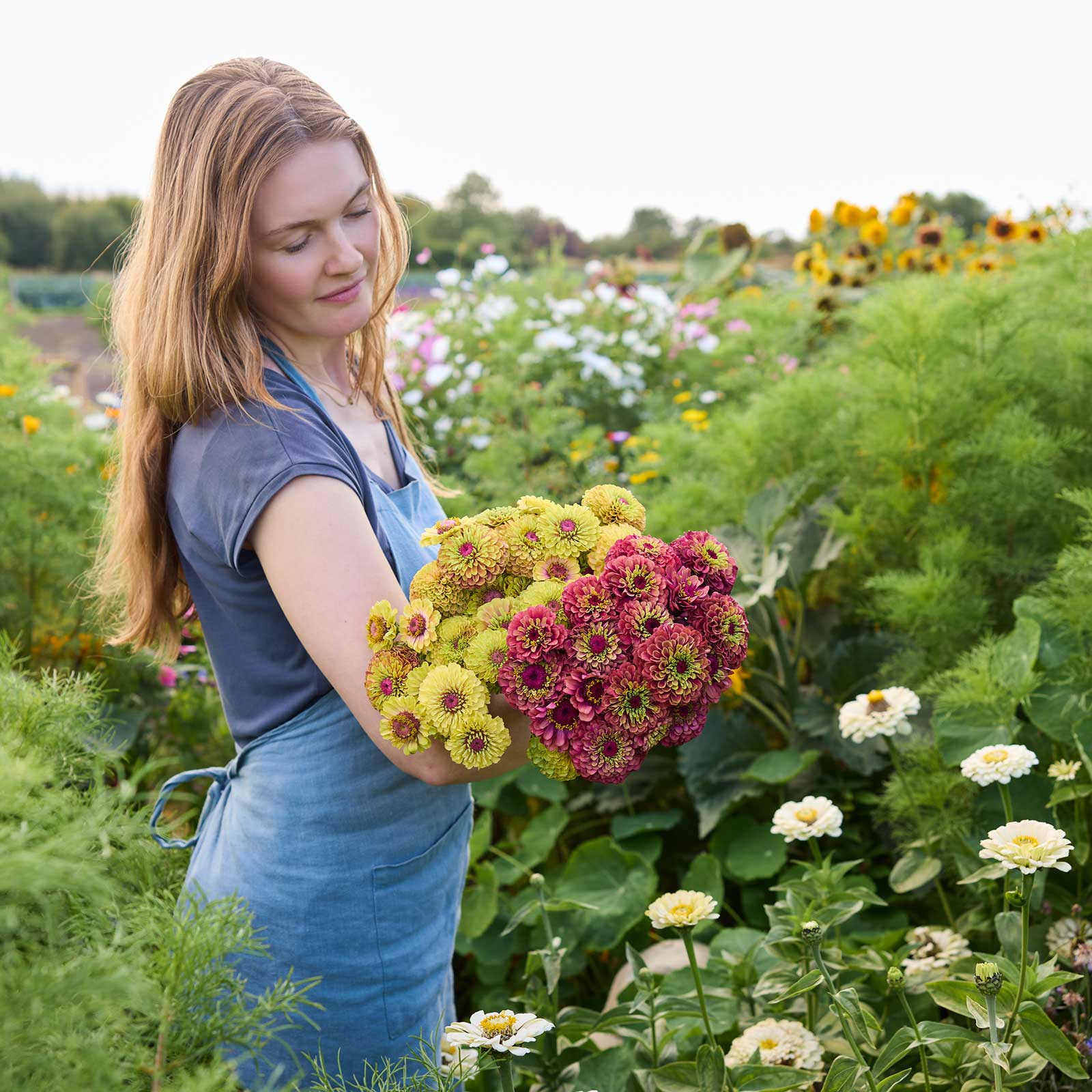 A person holding a bouquet of the zinnia bundle queeny sunset in a garden setting