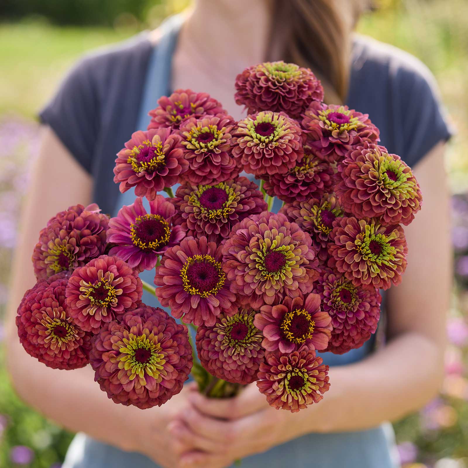 A person holding a bouquet of the zinnia bundle queeny sunset in a garden setting