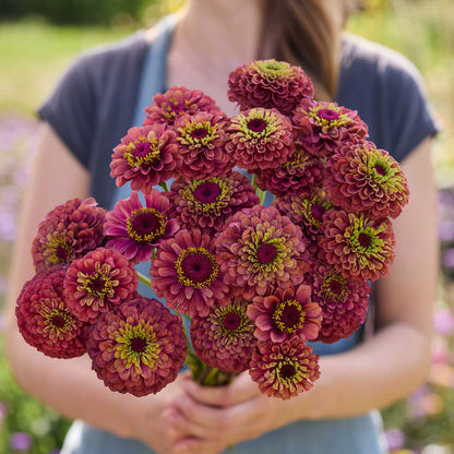 A person holding a bouquet of the zinnia bundle queeny sunset in a garden setting
