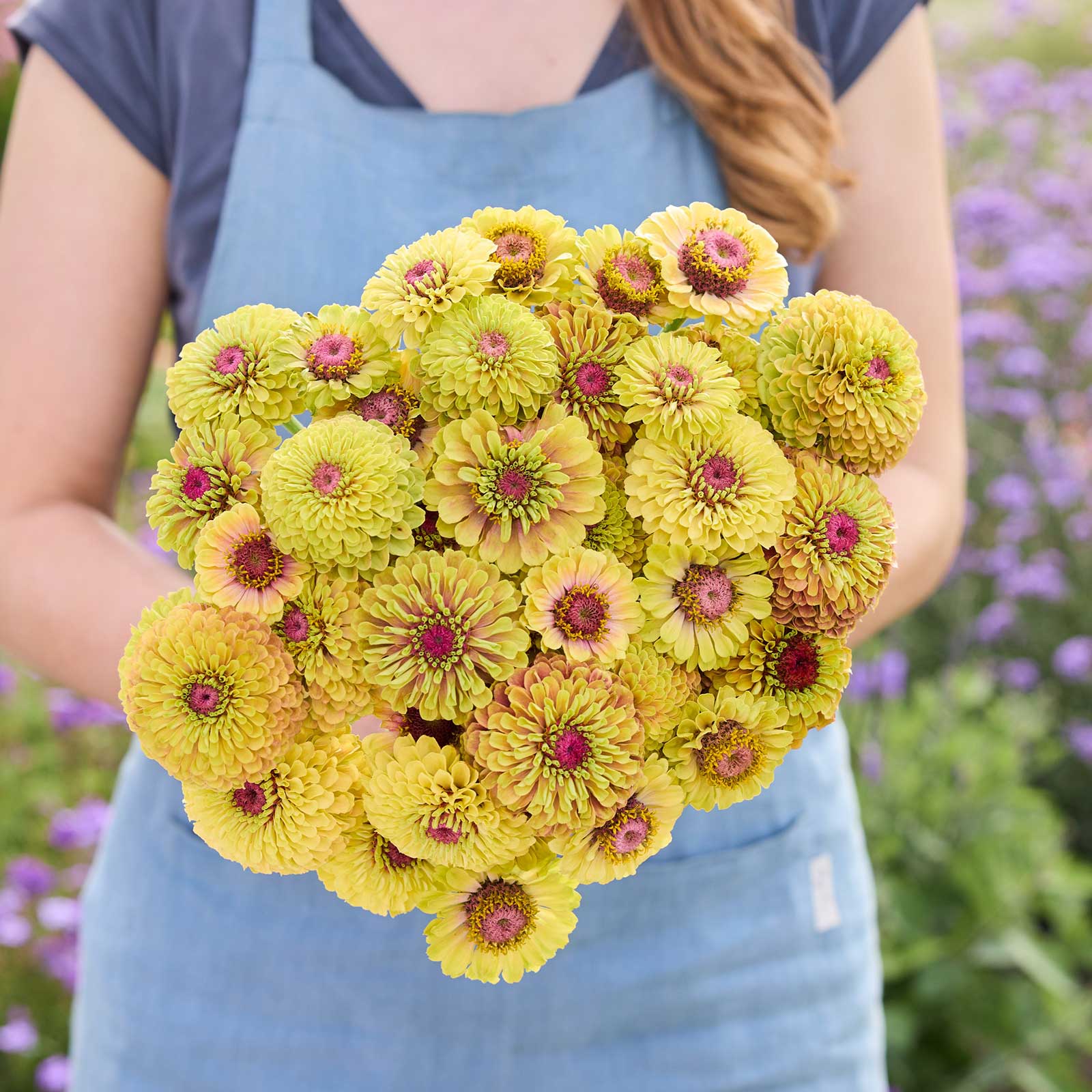 A person holding a bouquet of the zinnia bundle queeny sunset in a garden setting
