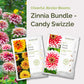 Graphic of zinnia candy swizzle bundle pack displaying a product image and contents of the bundle.