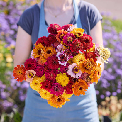 A person holding a bouquet of zinnia cresto fieldgrown mix with a blurred garden background.