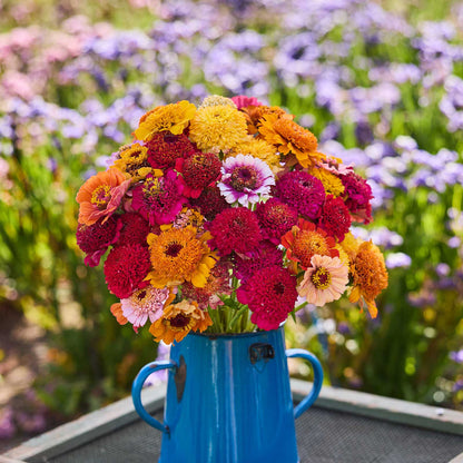 A bouquet of zinnia cresto fieldgrown mix in a blue vase with a blurred background.