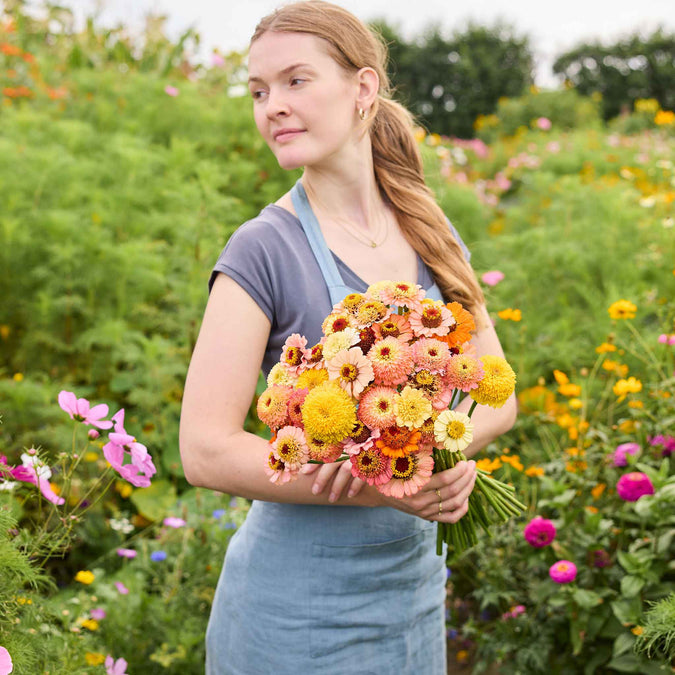 Bouquet of colorful cresto peaches and cream zinnia flowers held by a person in a blurred natural setting