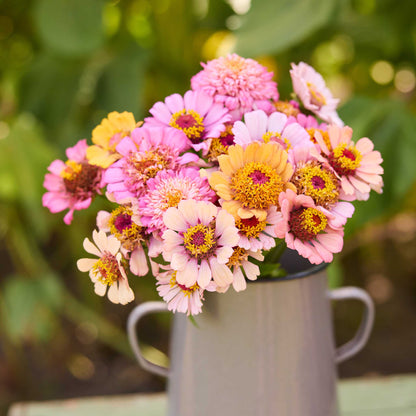 A person holding a bouquet of pink and orange cresto peachy pink zinnia flowers in a natural setting