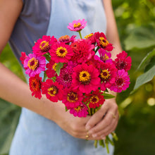 A person holding a bouquet of reddish purple cresto violet zinnia flowers in a natural setting