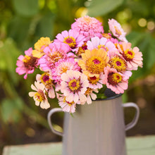 A bouquet of pink, peach, and yellow zinnia cupcake pink mix flowers arranged in a light gray metal pitcher, set against a soft-focus green garden background.
