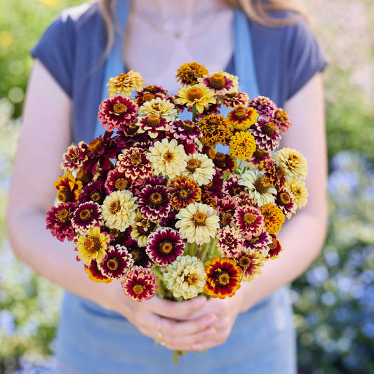 Person holding a bouquet of colorful zinnia jazzy mix flowers outdoors