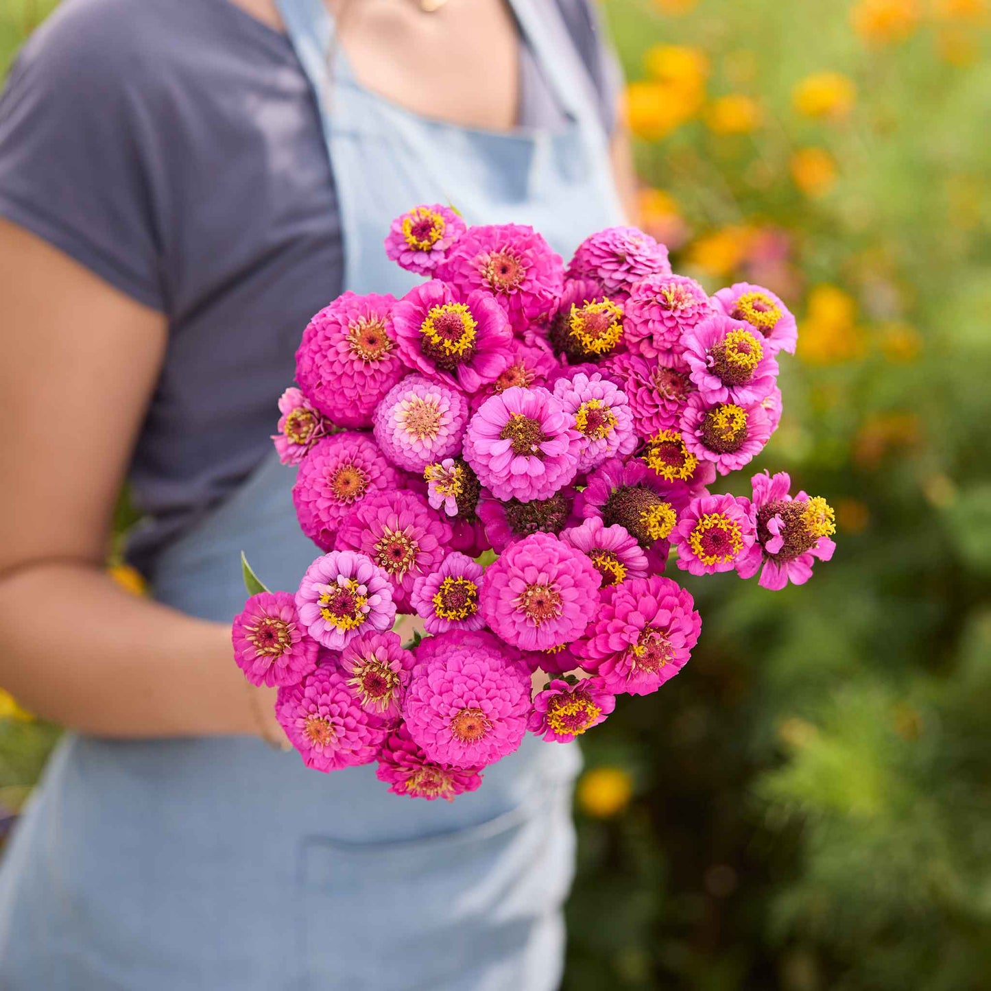 Person holding a bouquet of lilliput purple zinnia flowers in a field
