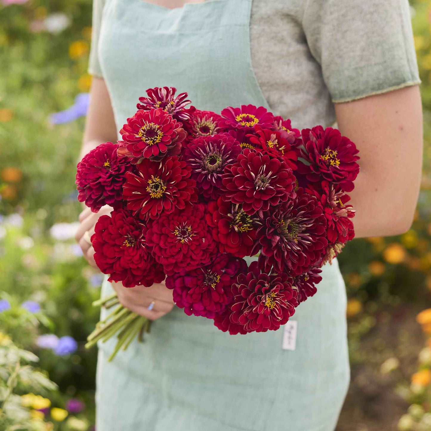 Person holding a bouquet of Meteor Zinnia flowers with a blurred garden background