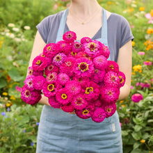A person holding a bouquet of zinnia oklahoma carmine with a blurred garden background.