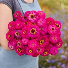 A person holding a bouquet of zinnia oklahoma carmine with a blurred garden background.