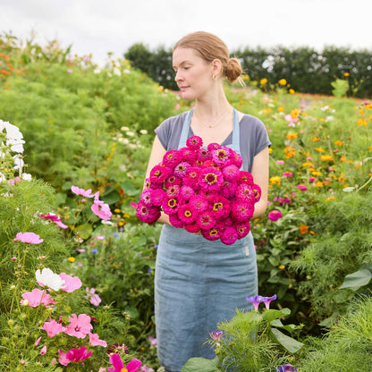 A person holding a bouquet of zinnia oklahoma carmine with a blurred garden background.