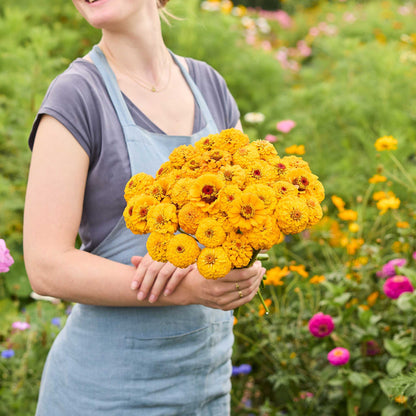 A person holding a bouquet of golden zinnia oklahoma golden yellow flowers in a garden setting.