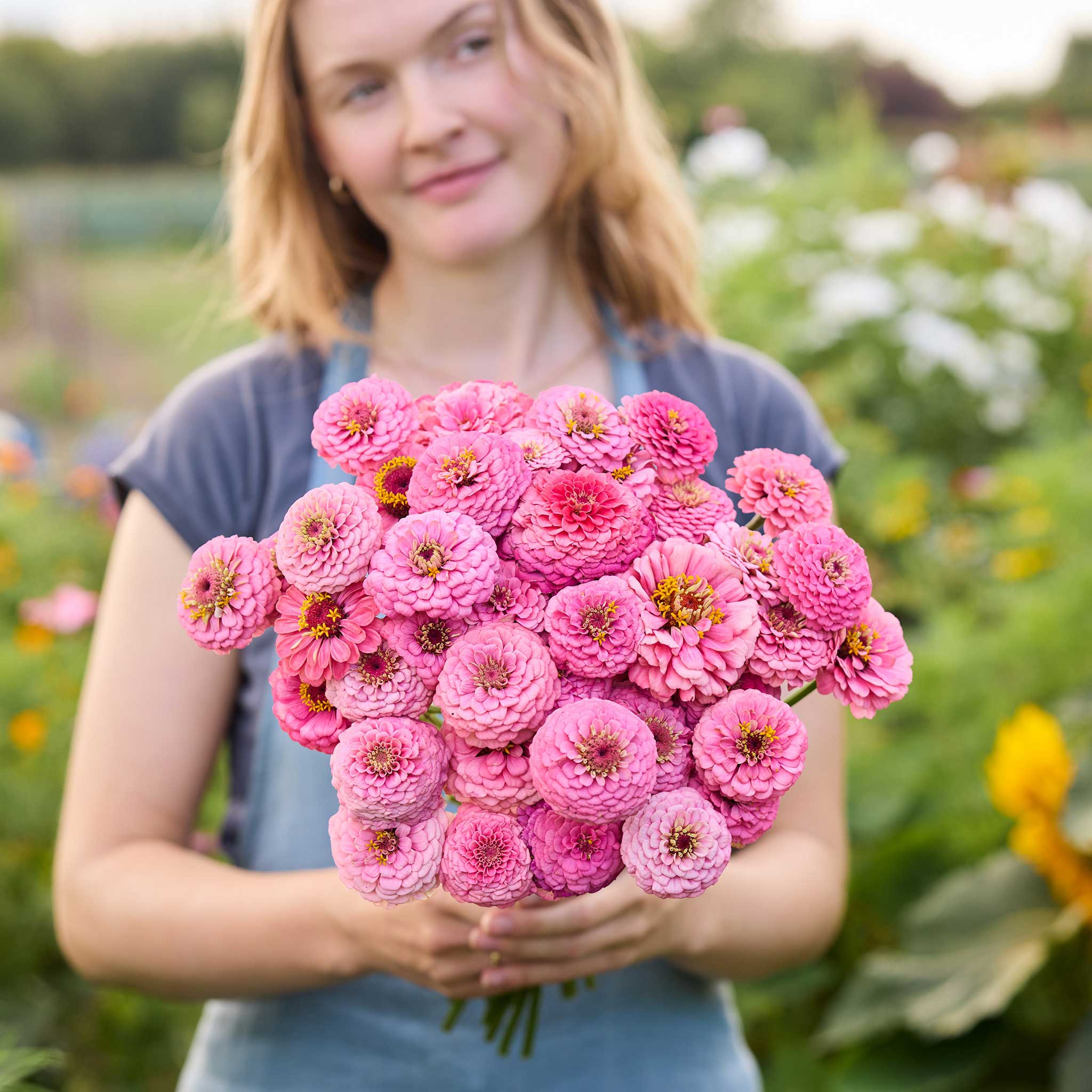 A person holding a bouquet of pink Zinnia Oklahoma Pink flowers in a garden setting.