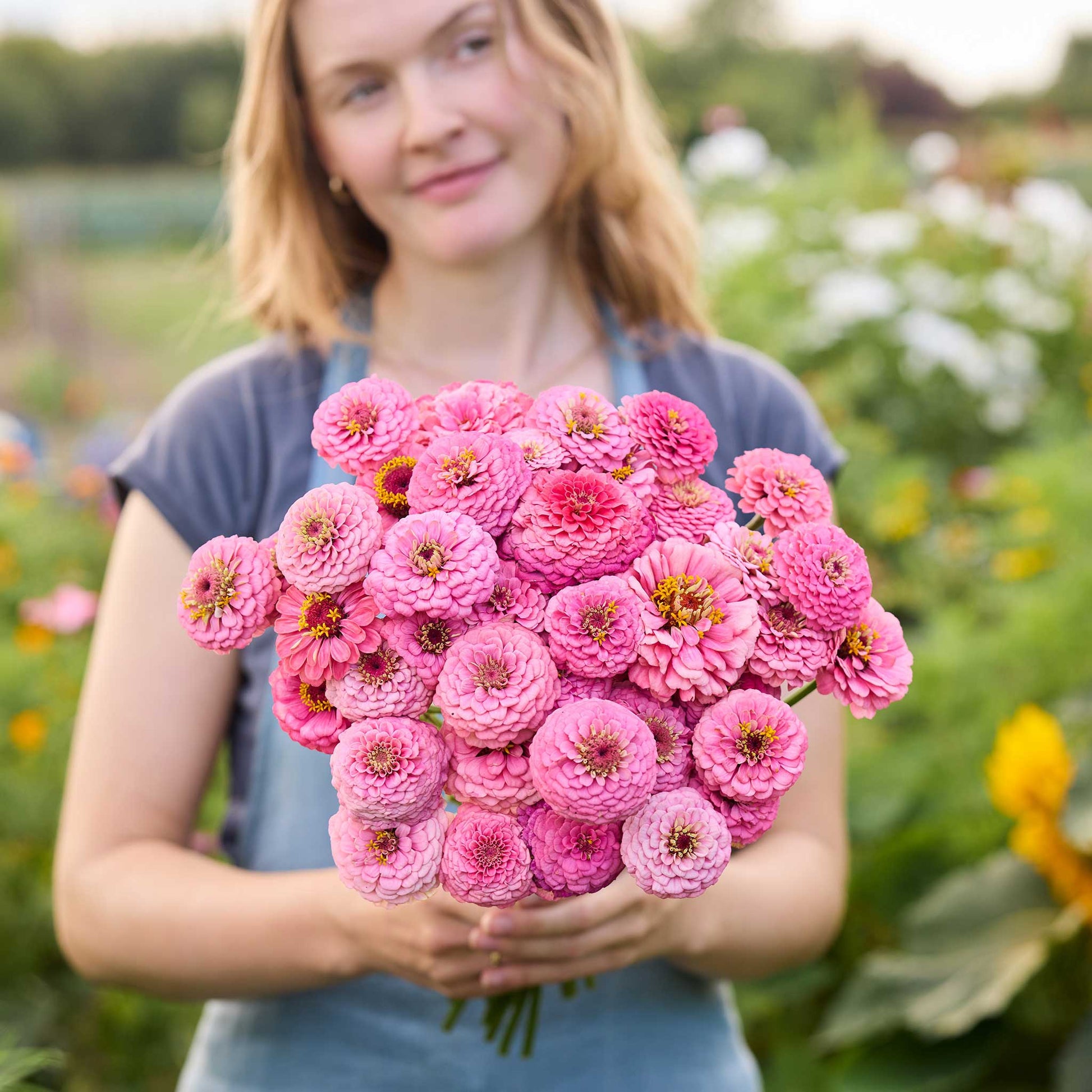 A person holding a bouquet of pink Zinnia Oklahoma Pink flowers in a garden setting.