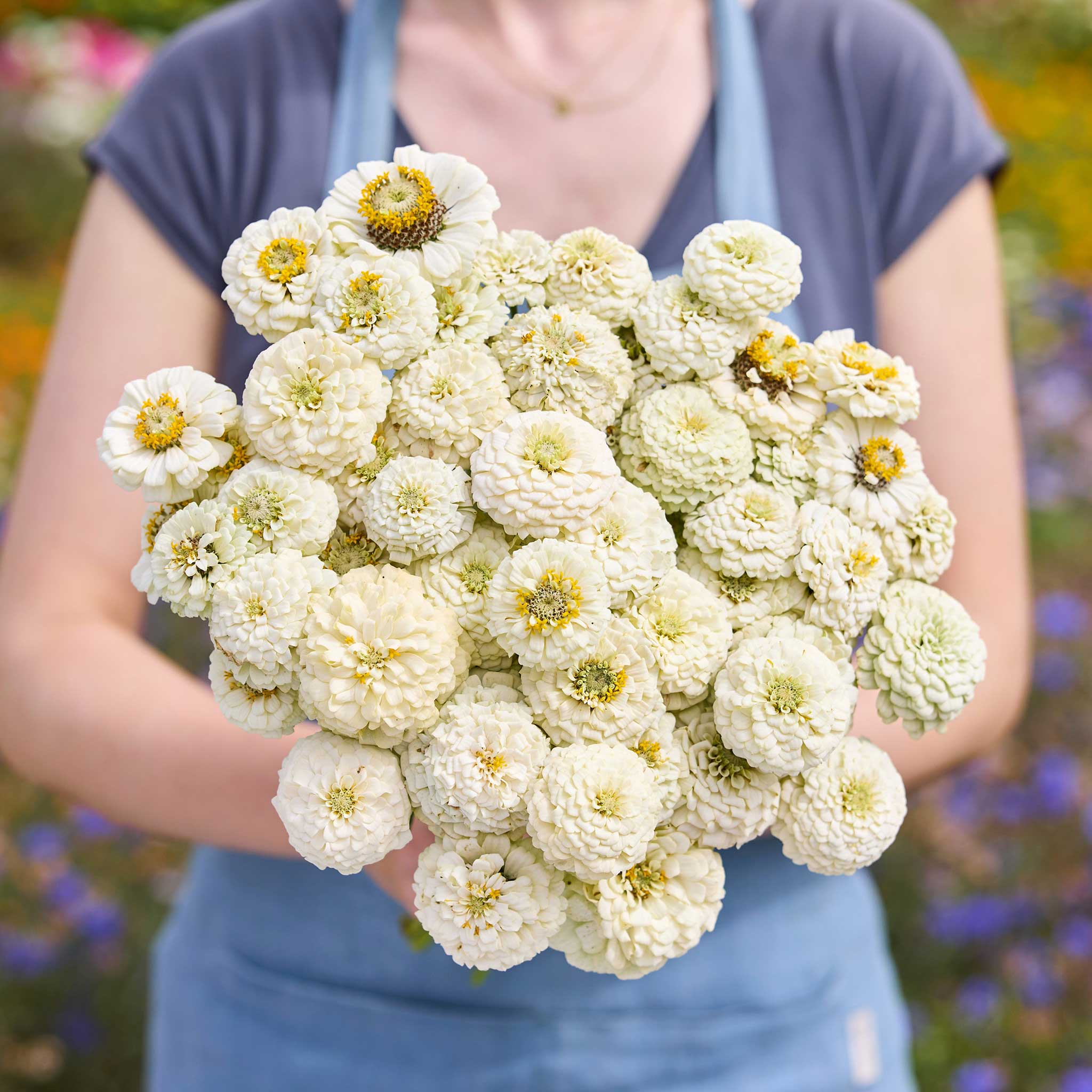 A person holding a bouquet of white Zinnia Oklahoma White flowers in a garden setting.