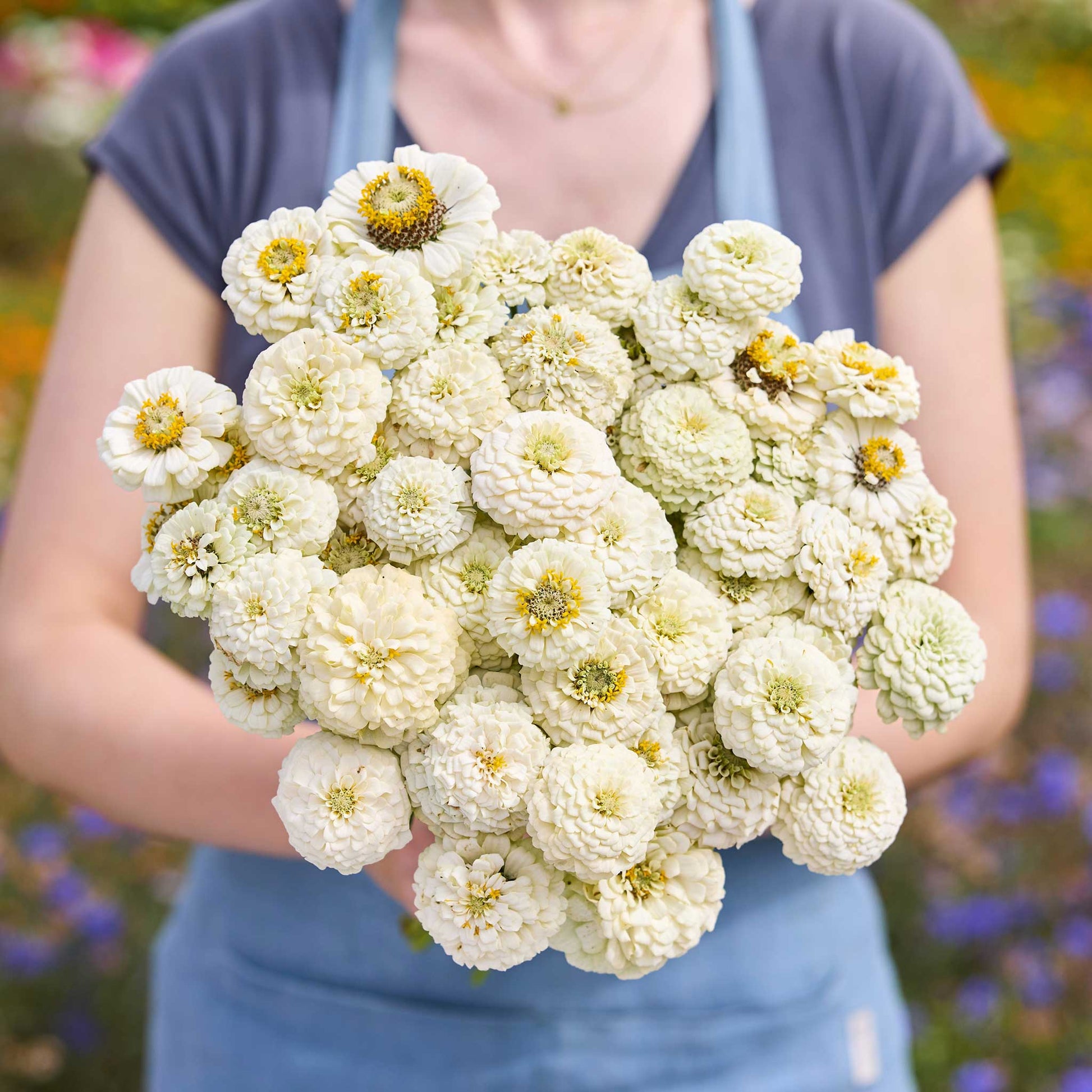 A person holding a bouquet of white Zinnia Oklahoma White flowers in a garden setting.
