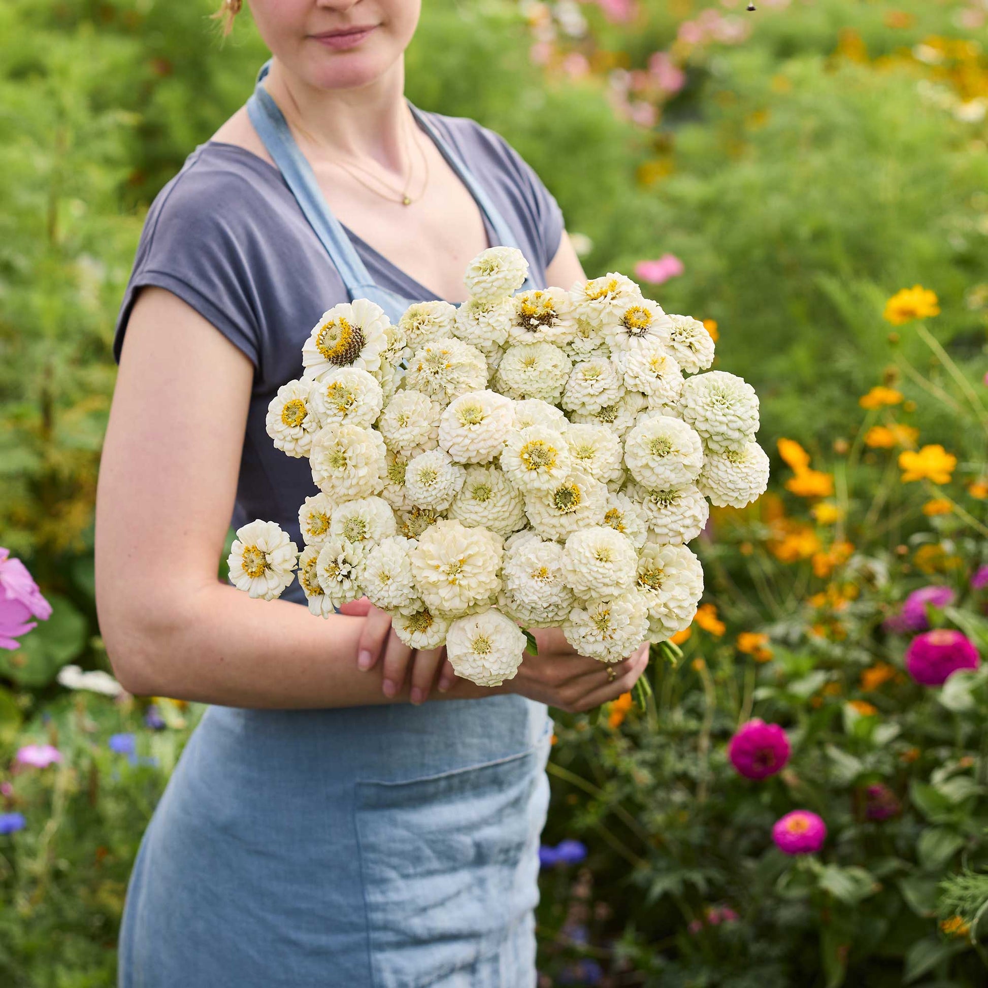 A person holding a bouquet of white Zinnia Oklahoma White flowers in a garden setting.