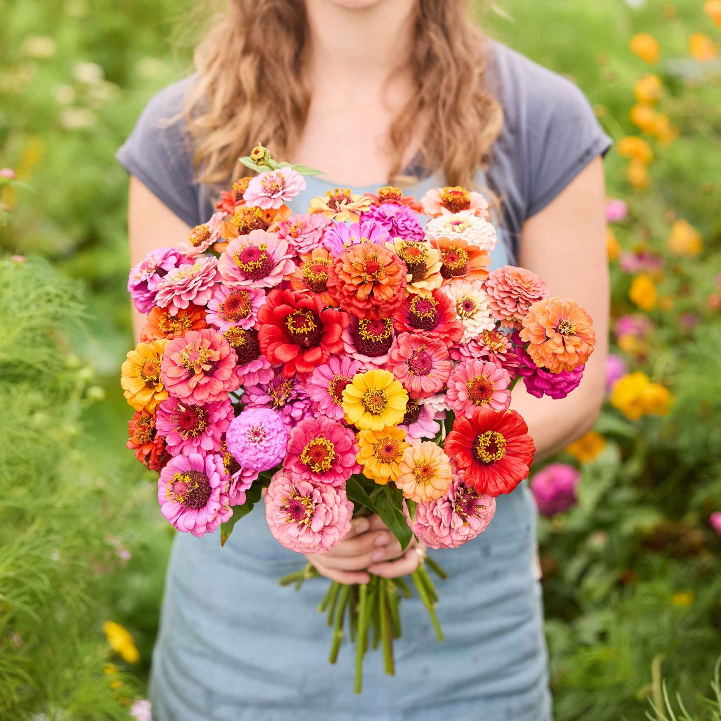Person holding a bouquet of colorful pumila mix zinnia flowers in a garden setting