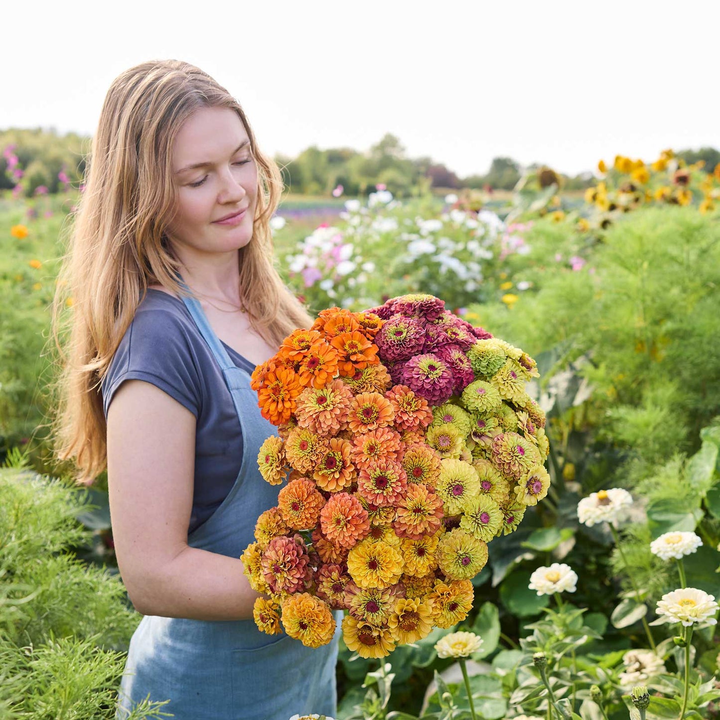 A person holding a bouquet of the zinnia bundle queeny series in a garden setting