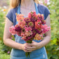 Person holding a bouquet of colorful flowers from the zinnia and snapdragon butterfly surprise bundle in a garden setting
