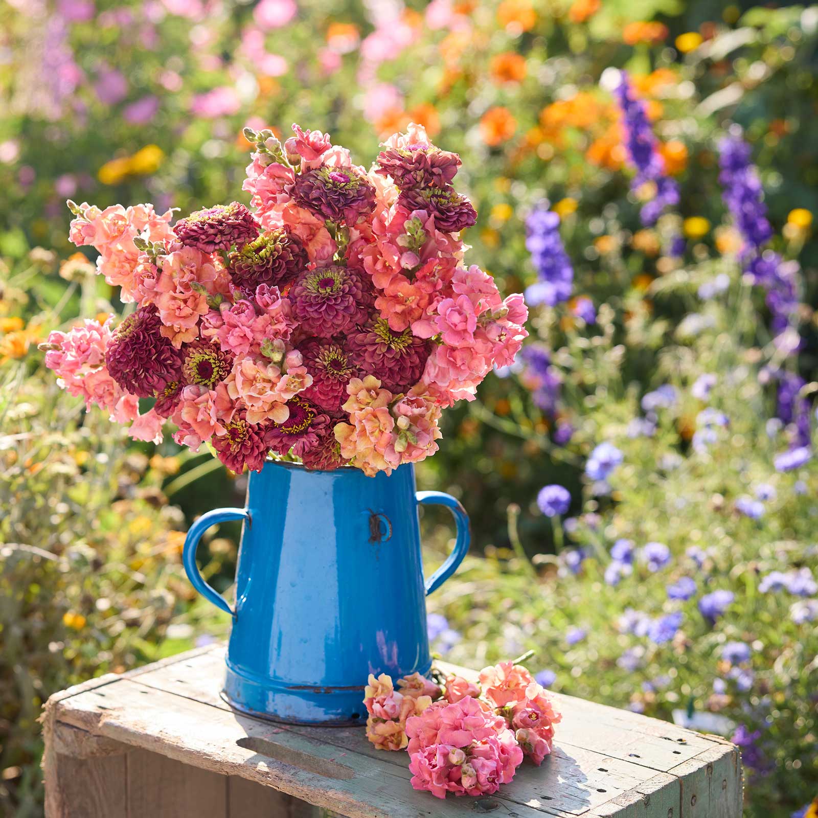 Bouquet of butterly surprise bundle zinnia and snapdragon flowers in a blue vase on a wooden surface.