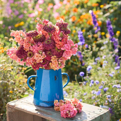 Bouquet of butterly surprise bundle zinnia and snapdragon flowers in a blue vase on a wooden surface.