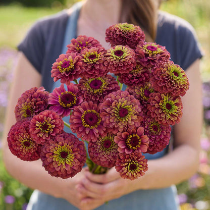 Person holding a bouquet of pink and green zinnia flowers in a blurred outdoor setting