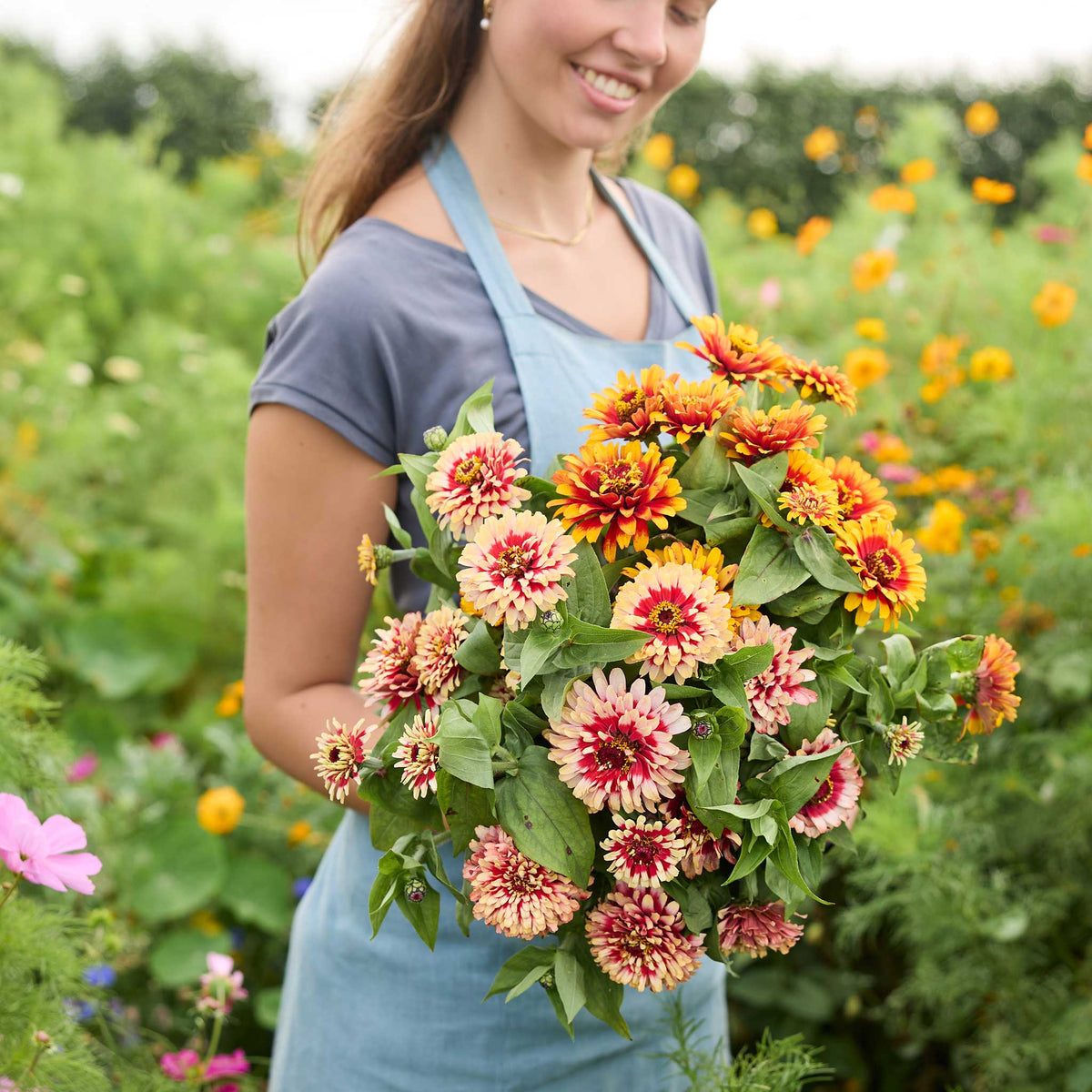 Person holding a bouquet of pink and red Zinnia Swizzle Cherry & Ivory flowers in a garden setting