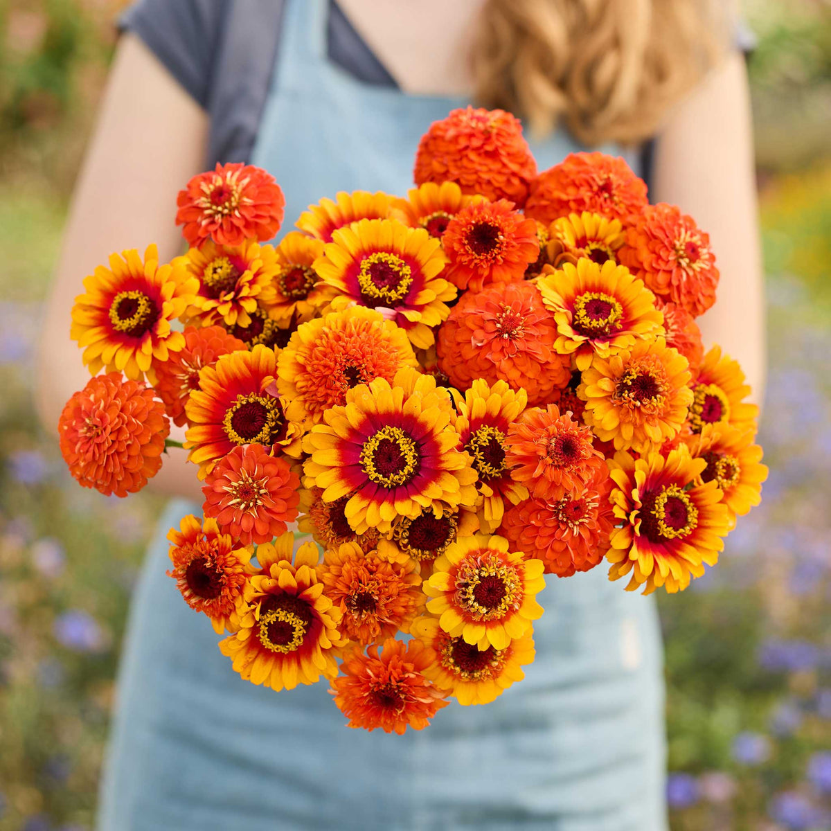 A person holding a bouquet of orange Zinnia zinderella zest flowers in a garden setting