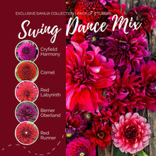 A graphic showing the individual contents of the Swing Dance Mix with a close up of a bouquet next to it.