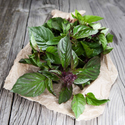 Thai Basil