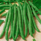 Commodore Improved Bean