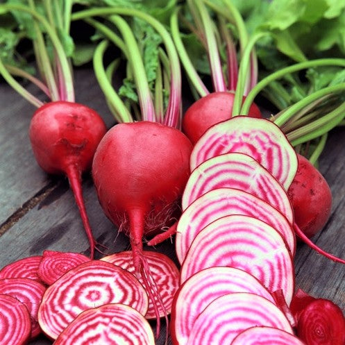 Chioggia Beet