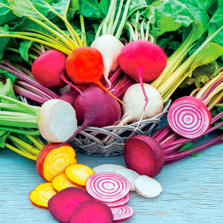 Beet Multi Beet Seeds - Rainbow Mix | Vegetable Seeds in Packets & Bulk | Eden ...