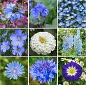 Blue Ribbon - Blue Flower Seed Mix | Flower Seeds | Eden Brothers