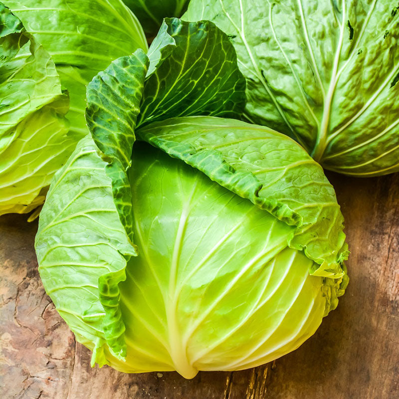Cabbage Seeds - Brunswick | Vegetable Seeds in Packets & Bulk | Eden ...