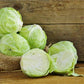 Copenhagen Market Cabbage