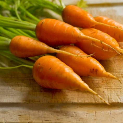 Organic Chantenay Red Cored Carrot