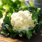 Snowball Y Improved Cauliflower