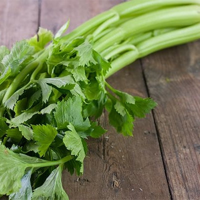 Organic Tall Utah Celery