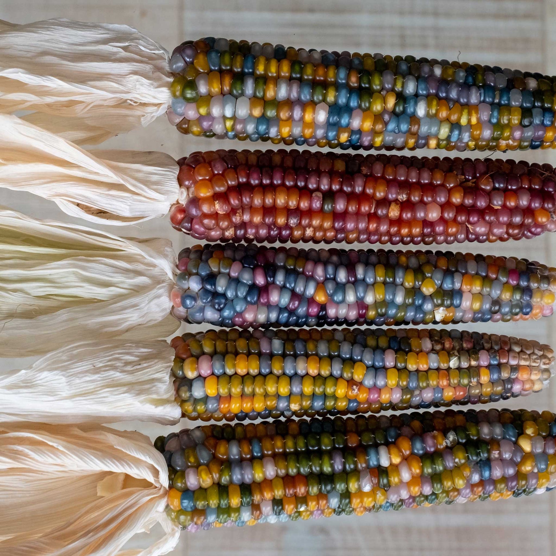 Glass Gem Corn Popped